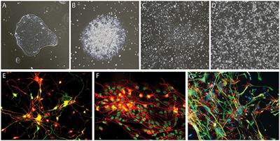 Open Science Meets Stem Cells: A New Drug Discovery Approach for Neurodegenerative Disorders